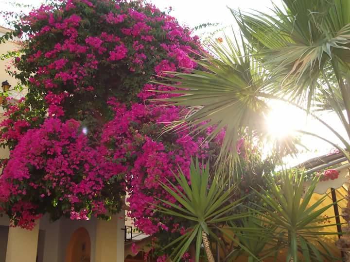 Sweetmemory Hotel Agia Marina  Exterior photo